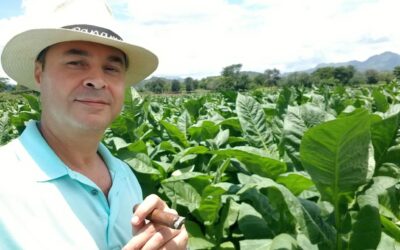 The Story Behind Belmaachi Cigars