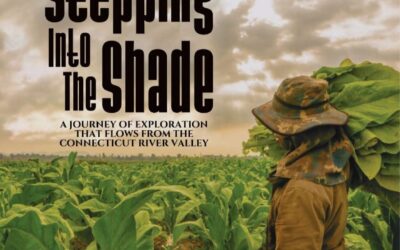 Stepping Into the Shade