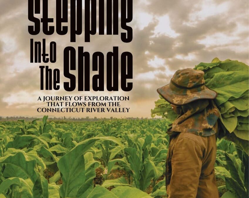 Stepping Into the Shade